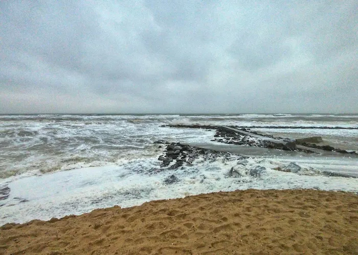 Luxury House With - By Traum